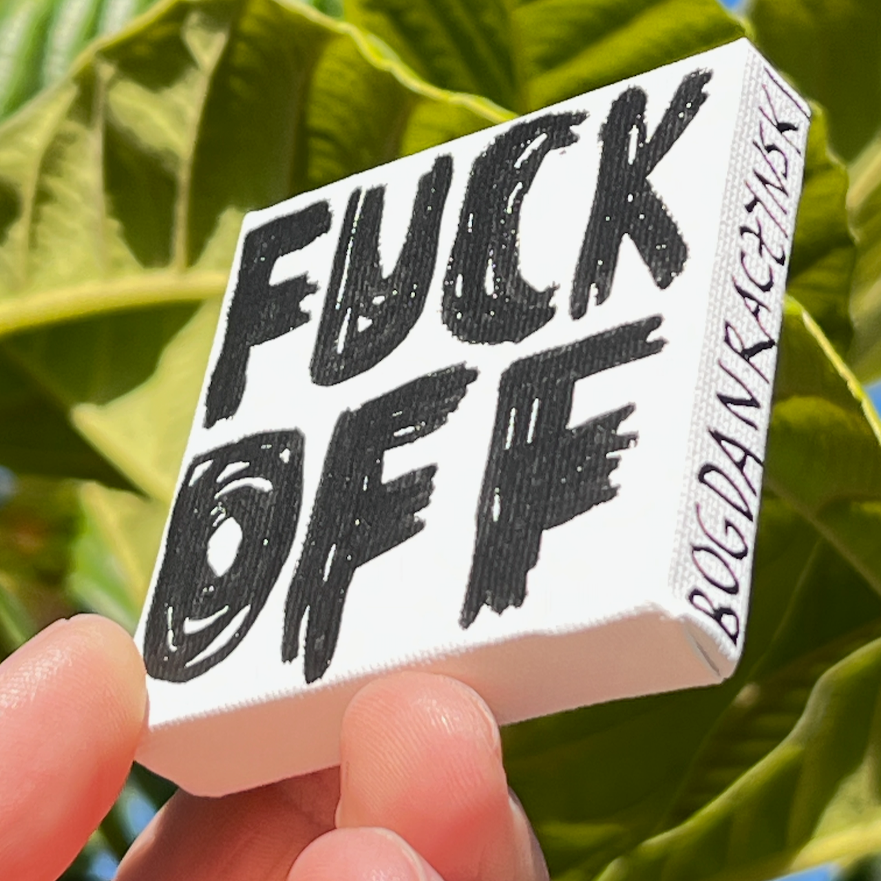 canvas 2 - FUCK OFF